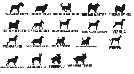 Dog Personalized Stationery Set, Dog Note Cards