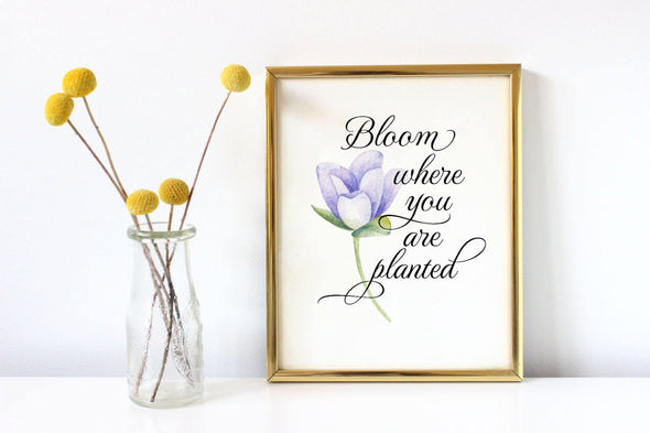 Bloom where you are planted digital art print with flower.