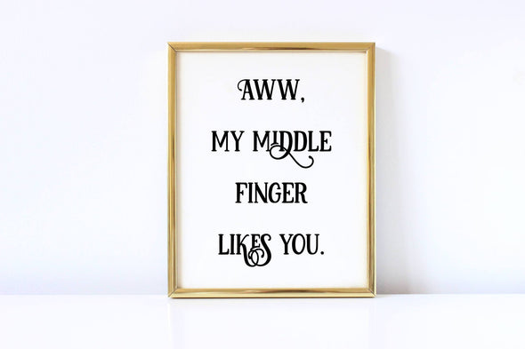 Aww, my middle finger like you digital download funny art print.
