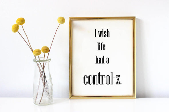 Art print for IT person about life having a control z.